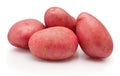 Raw red potato vegetables isolated on white background Royalty Free Stock Photo