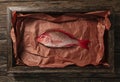 Raw Red Snapper Being Prepped Royalty Free Stock Photo