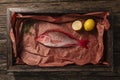 Raw Red Snapper Being Prepped Royalty Free Stock Photo