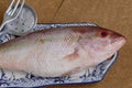 Raw red snapper fish on decorated plate