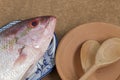 Raw red snapper fish on decorated plate