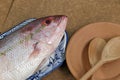 Raw red snapper fish on decorated plate