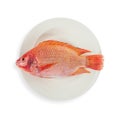 Raw Red tilapia Royalty Free Stock Photo