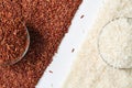 Raw red and white rice grains in a transparent glass plate. Rice grains scattered on a white background. Problem of choice. Royalty Free Stock Photo