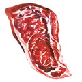 Raw ribeye steak, uncooked rib-eye steak, fresh beef meat ready to cook, close up, top view, isolated, hand drawn