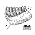 Raw ribs vector drawing. Beef, pork or lamb meat hand drawn sketch