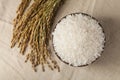 raw rice Royalty Free Stock Photo