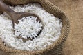 Raw rice Royalty Free Stock Photo