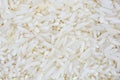 Raw Rice Grain (Jasmine Rice) Royalty Free Stock Photo