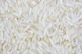Raw Rice Grain (Jasmine Rice) Royalty Free Stock Photo