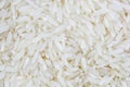 Raw Rice Grain (Jasmine Rice) Royalty Free Stock Photo