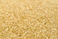 Raw rice grains closeup Royalty Free Stock Photo