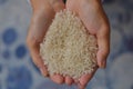 Raw rice held by asian woman& x27;s hand. Uncooked rice in hand Royalty Free Stock Photo