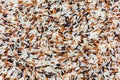 Raw Rice Rice Berry texture Royalty Free Stock Photo