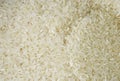 Raw rice, Thailand Royalty Free Stock Photo