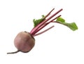 Raw ripe beet with stems isolated