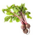 Raw ripe beets with leaves isolated