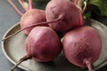 Raw ripe beets on metal platter, closeup