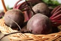 Raw ripe beets in wicker basket, closeup Royalty Free Stock Photo