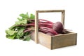 Raw ripe beets in wooden basket isolated Royalty Free Stock Photo