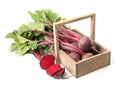 Raw ripe beets and wooden basket on background Royalty Free Stock Photo