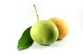 Raw and ripe mangoes on white background. Royalty Free Stock Photo