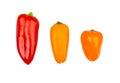 Raw ripe paprika