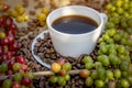 Raw or ripe red branch of Arabica and Robusta and organic coffee berries beans on tree. Farmer crop fruit at farm in Java. Coffee