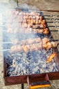 raw roasted marinated meat barbecue shish kebab shashlik on steel metal skewers lying grill fire brazier with charcoal Royalty Free Stock Photo