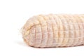 Raw Rolled Chicken Stuffed With Ham And Cheese