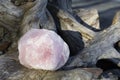 Raw Rose Quartz Crystal and Weathered Driftwood Royalty Free Stock Photo