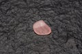 Raw rose quartz isolated on black stone background. Macro shot Royalty Free Stock Photo