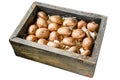 Raw Royal brown champignon mushrooms in a wooden box Isolated on white background, Top view. Royalty Free Stock Photo