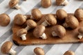 Raw Royal Brown Champignons Ready to Cook Royalty Free Stock Photo