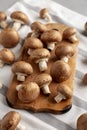 Raw Royal Brown Champignons Ready to Cook Royalty Free Stock Photo