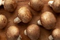 Raw Royal Brown Champignons Ready to Cook Royalty Free Stock Photo