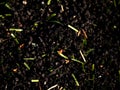 Raw rubber of plastic grass on artificial football turf. Close up of checking the rubber pieces for turf Royalty Free Stock Photo