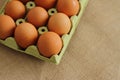 Raw rural brown eggs Royalty Free Stock Photo