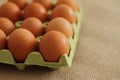 Raw rural brown eggs Royalty Free Stock Photo