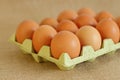 Raw rural brown eggs Royalty Free Stock Photo