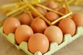 Raw rural brown eggs Royalty Free Stock Photo