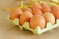 Raw rural brown eggs Royalty Free Stock Photo