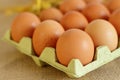 Raw rural brown eggs Royalty Free Stock Photo