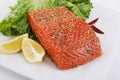 Raw Salmon Royalty Free Stock Photo