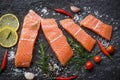 Raw salmon filet with herbs and spices on dark black background / Fresh salmon fish for cooking salad or steak seafood pepper Royalty Free Stock Photo