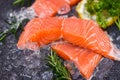 Raw salmon filet with herbs and spices on dark black background, Fresh salmon fish on ice Royalty Free Stock Photo