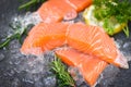 Raw salmon filet with herbs and spices on dark black background, Fresh salmon fish on ice Royalty Free Stock Photo