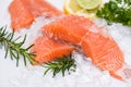 Raw salmon filet with herbs and spices on white background, Fresh salmon fish on ice Royalty Free Stock Photo