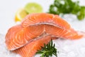 Raw salmon filet with herbs and spices on white background, Fresh salmon fish on ice Royalty Free Stock Photo