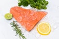 Raw salmon filet with herbs and spices on white background, Fresh salmon fish on ice Royalty Free Stock Photo